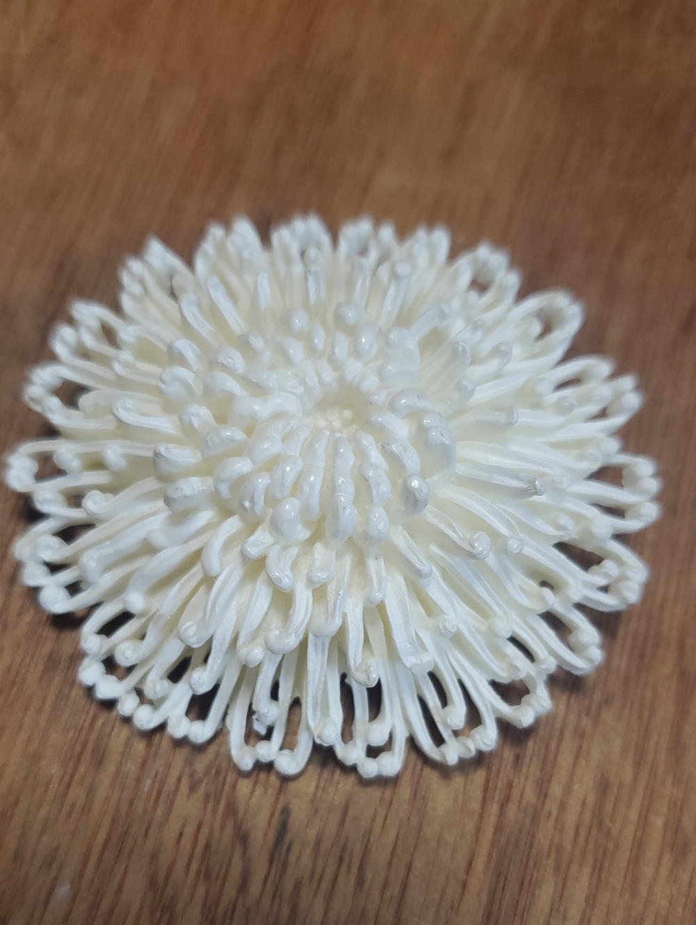 Ivory Floral Celluloid Brooch Pin D